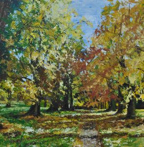 Autumn in Abington