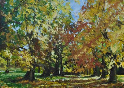 Autumn in Abington