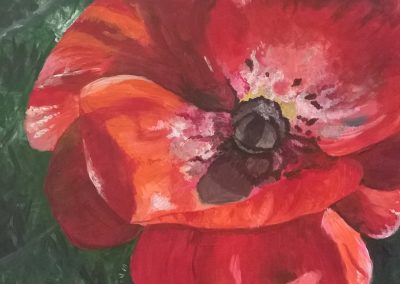 Image of poppy painting
