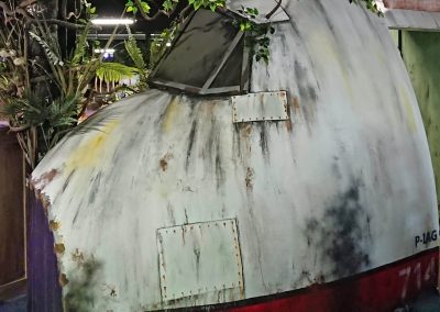 Plane nose after theming