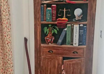 Happy Potter bookcase mural