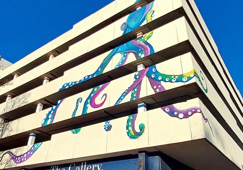 Muriel the Multi Storey Octopus