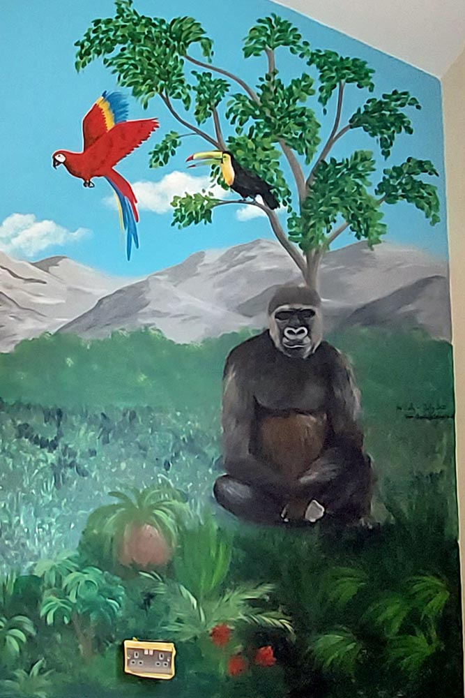 gorilla
