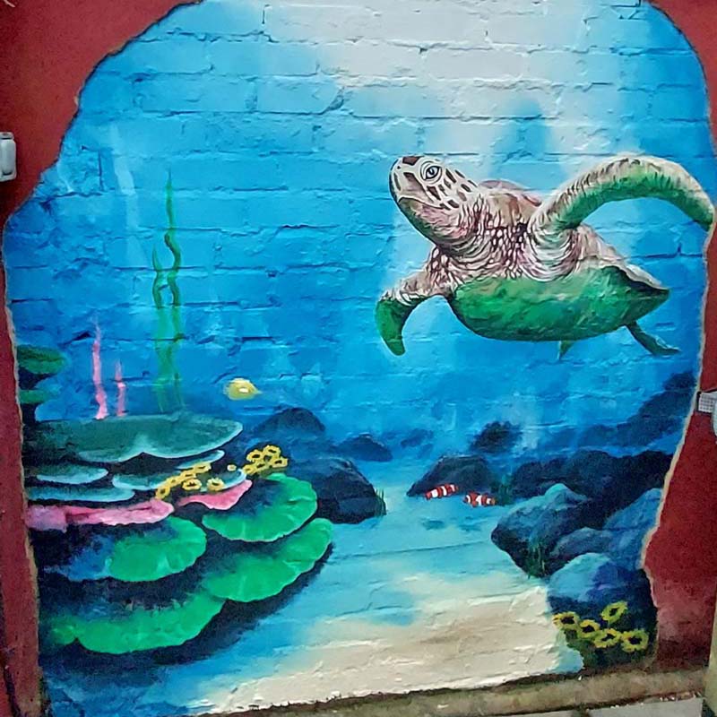 Undersea murals
