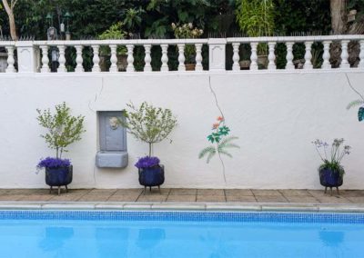 Jungle leaves swimming pool mural